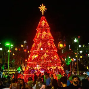 Árvore de Natal Luminosa Gigante LED Fabricada em Estrutura Metálica - Araucária