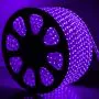 Mangueira LED Roxo, 32 LED/m e Ø12mm - Rolo de 100 metros