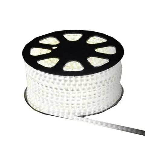 Mangueira LED 5050 Chata Branco Rolo 100MTS