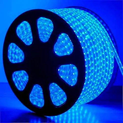 Mangueira LED Azul, 24 LED/m e Ø11mm - Rolo de 100 metros