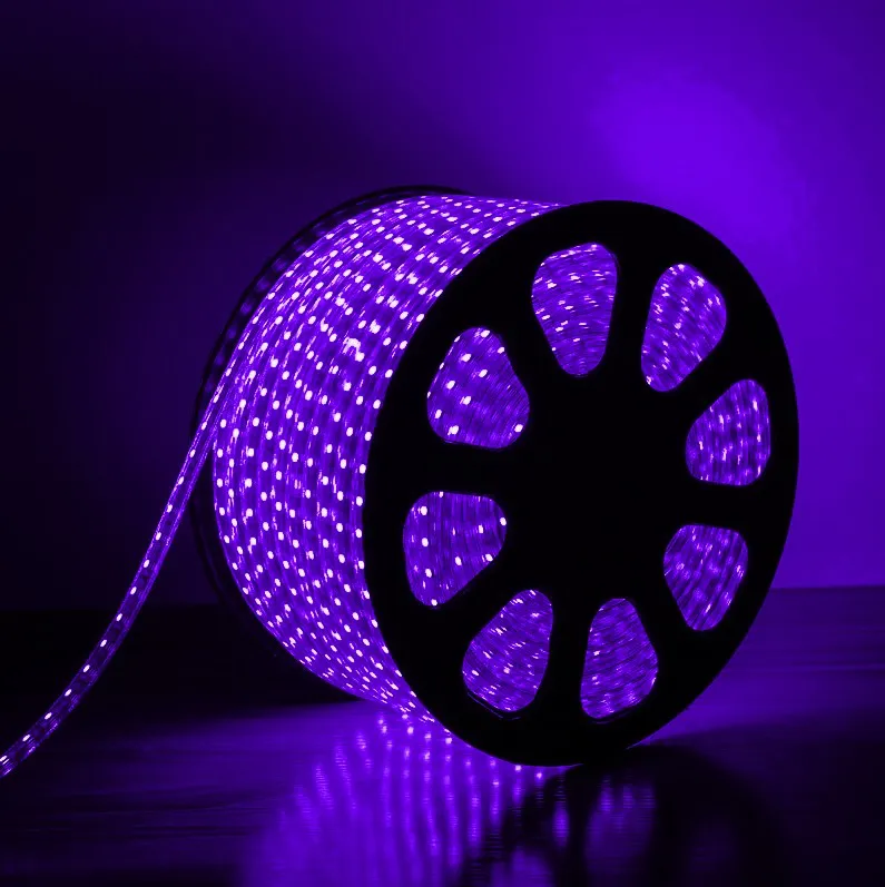 Mangueira LED Roxo, 36 LED/m e Ø13mm - Rolo de 100 metros