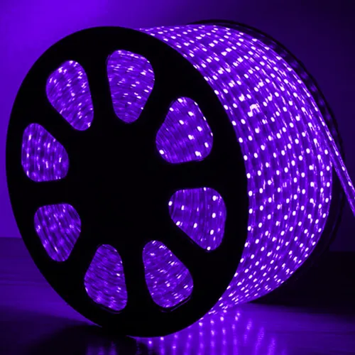Mangueira LED Roxo, 32 LED/m e Ø12mm - Rolo de 100 metros