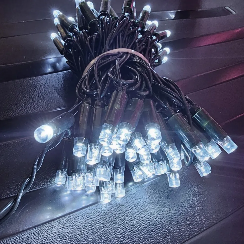Pisca de Natal 100 LED Fixo Luz Branco Friol, Fio Verde Ø2,4 mm IP65 Uso Externo 10 Metros