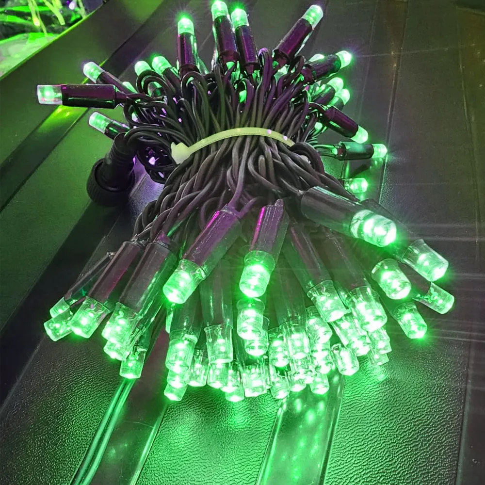 Pisca de Natal 100 LED Fixo Luz Verde, Fio Verde Ø2,4 mm IP65 Uso Externo 10 Metros